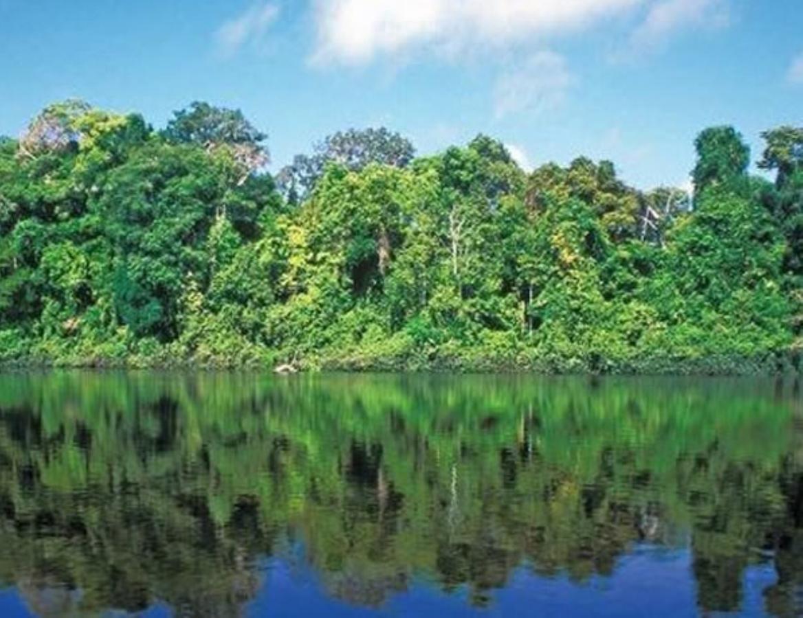 Hotel Vista Al Tortuguero Cariari  Екстериор снимка